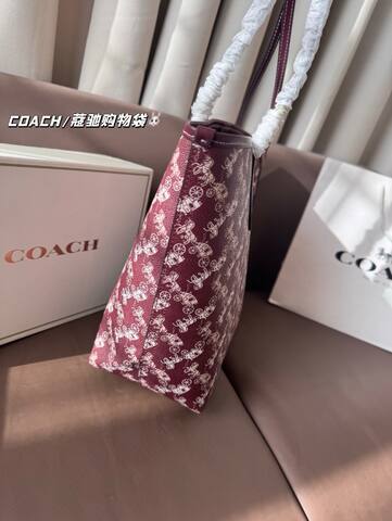 Coach shoulder bag Premium Replica
