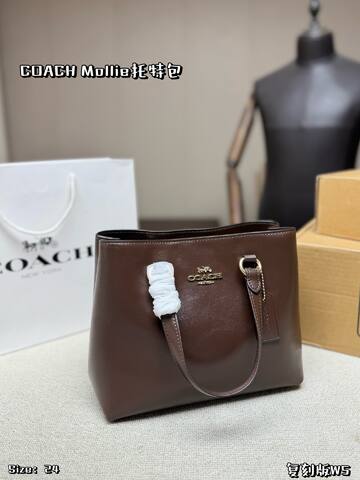 Coach Mollie Black Brown 24cm tote AAA Quality Replica