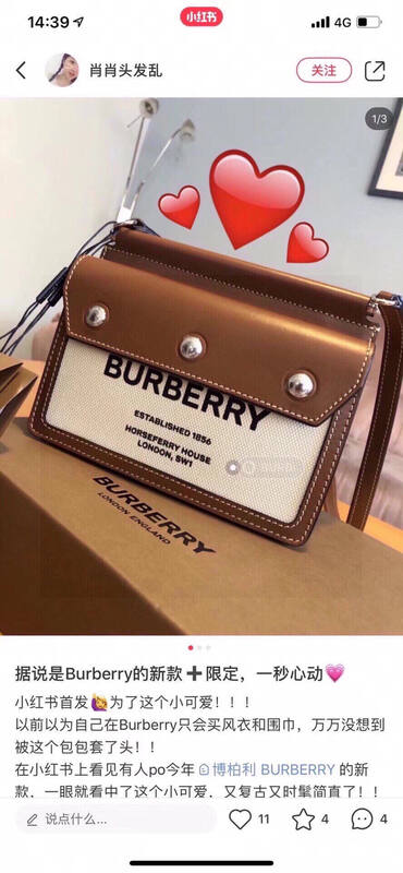 Burberry Brown shoulder bag — Top Quality Replica