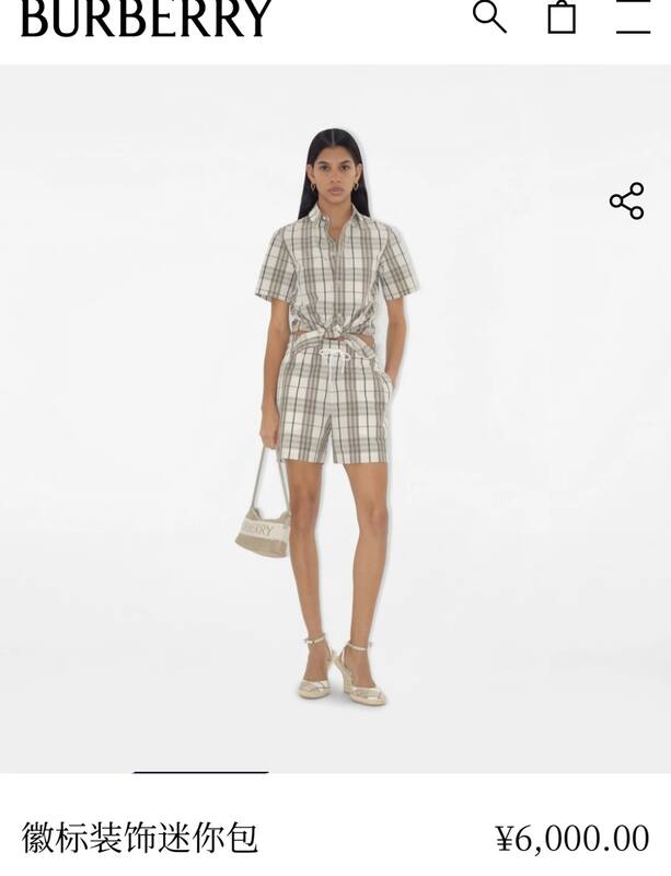 Burberry Beige shoulder bag — AAA Quality Replica