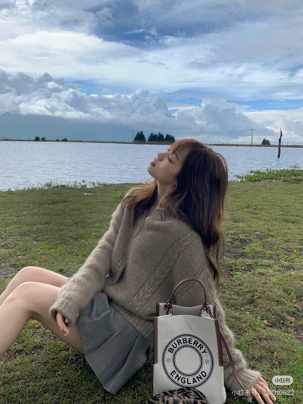 Burberry Brown 25x18x10cm shoulder bag — 1:1 Replica