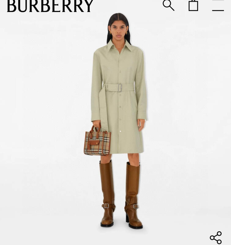 Burberry Brown shoulder bag — Top Quality Replica