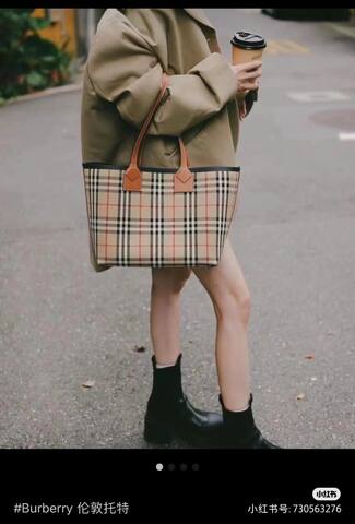 Burberry Brown shoulder bag AAA Quality Replica