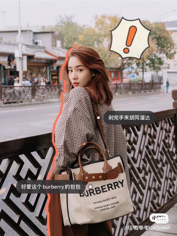Burberry Brown 25x18x10cm shoulder bag — 1:1 Replica