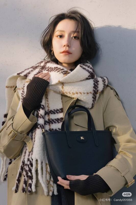 Burberry Brown shoulder bag — 1:1 Replica