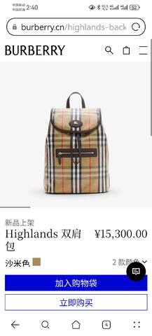Burberry shoulder bag 1 1 Replica