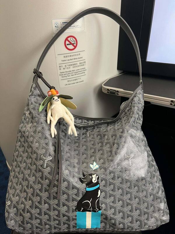 Loewe Calfskin shoulder bag — Top Quality Replica