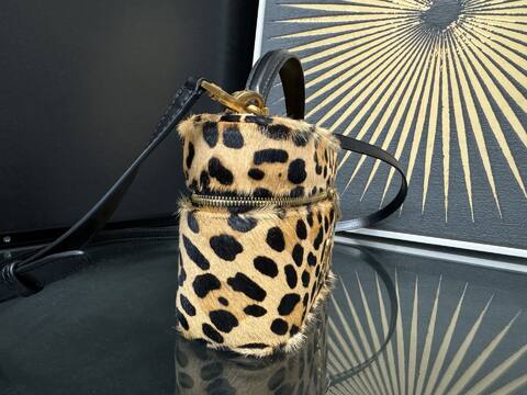 Saint Laurent Mini everyday Premium Replica