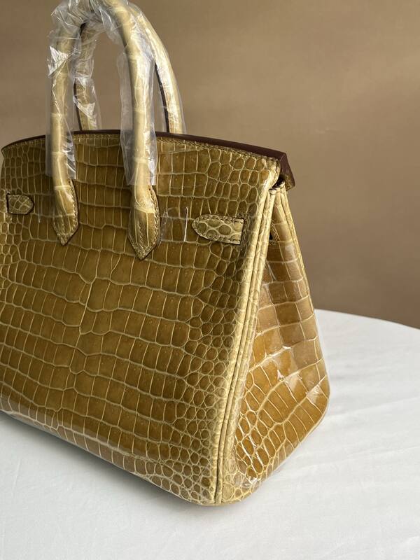 Hermes Birkin 25 High-gloss platinum alligator everyday — AAA Quality Replica