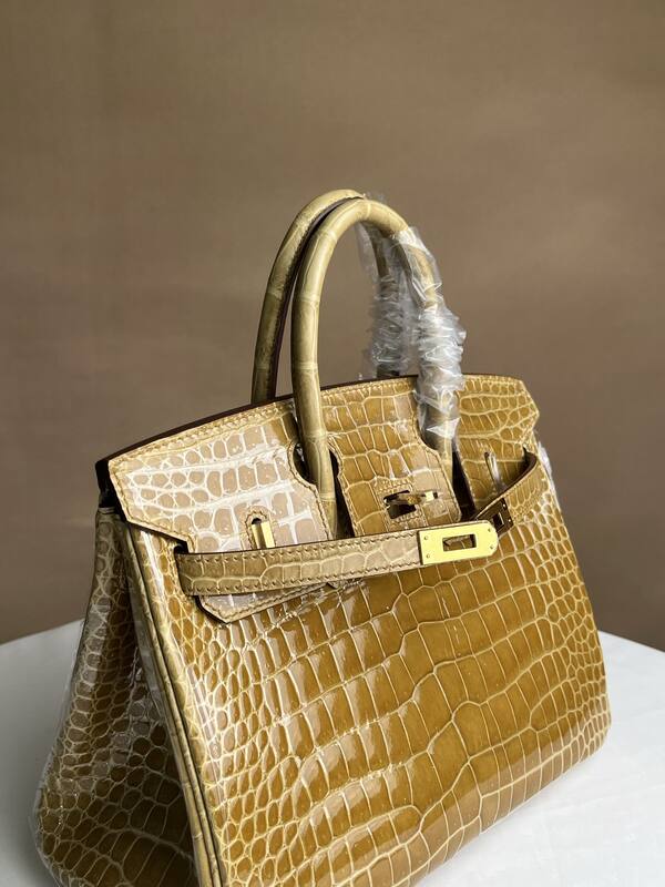 Hermes Birkin 25 High-gloss platinum alligator everyday — AAA Quality Replica