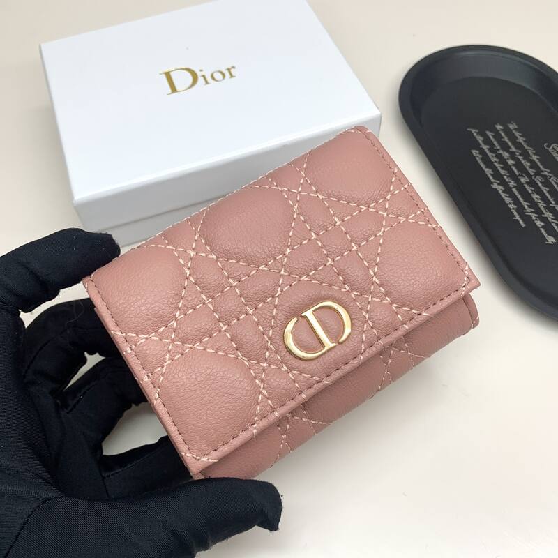 Dior Caro Pink everyday — Premium Replica