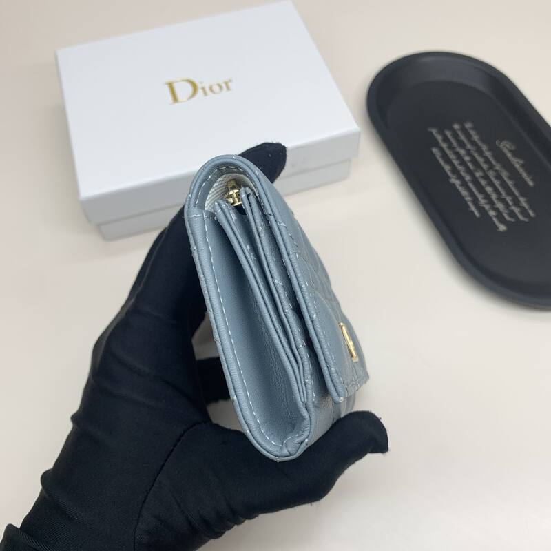 Dior Caro Blue everyday — AAA Quality Replica