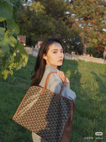 Goyard Brown shoulder bag 1 1 Replica