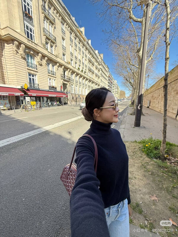 Goyard Brown shoulder bag — Premium Replica