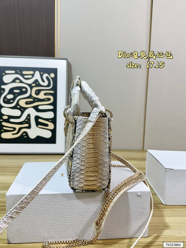 Dior Python print 17 15 crossbody — Premium Replica