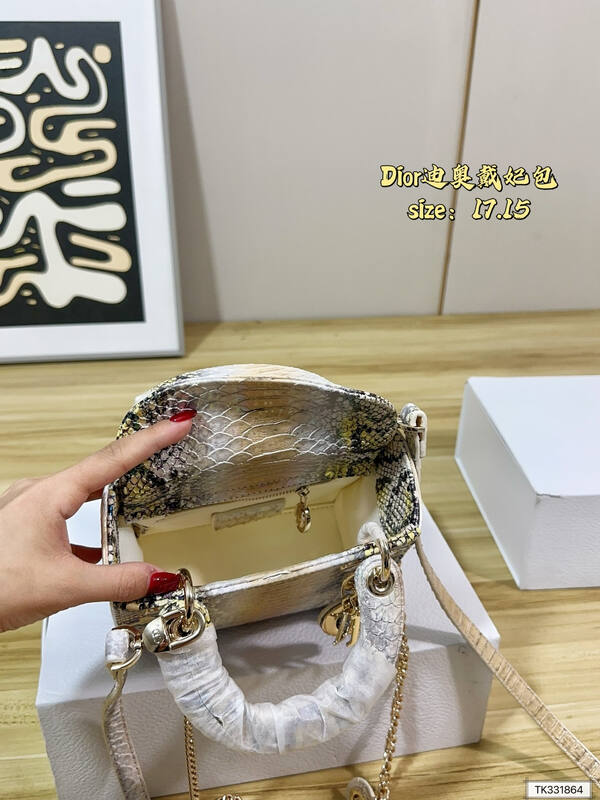 Dior Python print 17 15 crossbody — Premium Replica