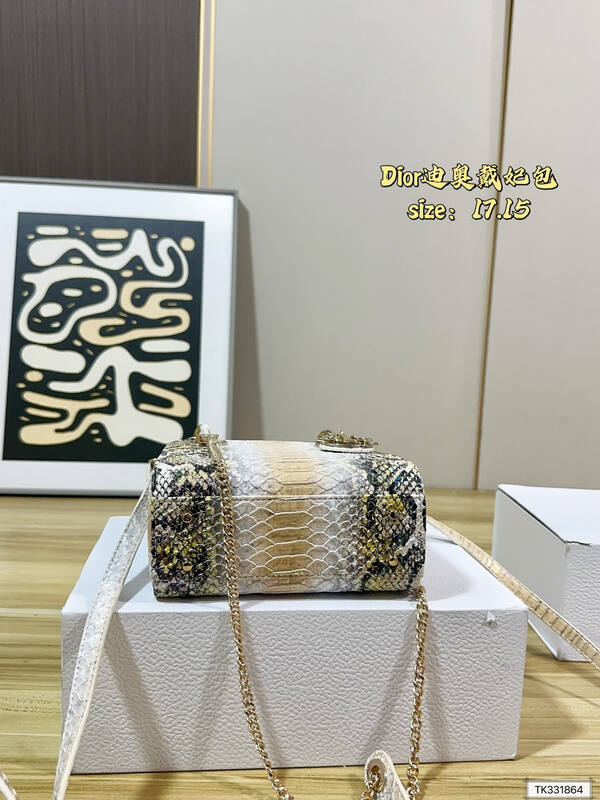 Dior Python print 17 15 crossbody — Premium Replica