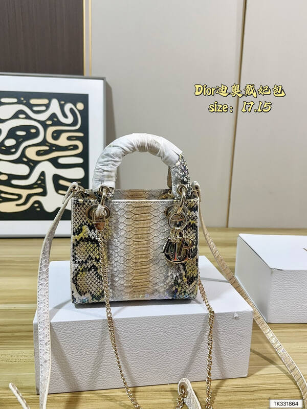 Dior Python print 17 15 crossbody — Premium Replica