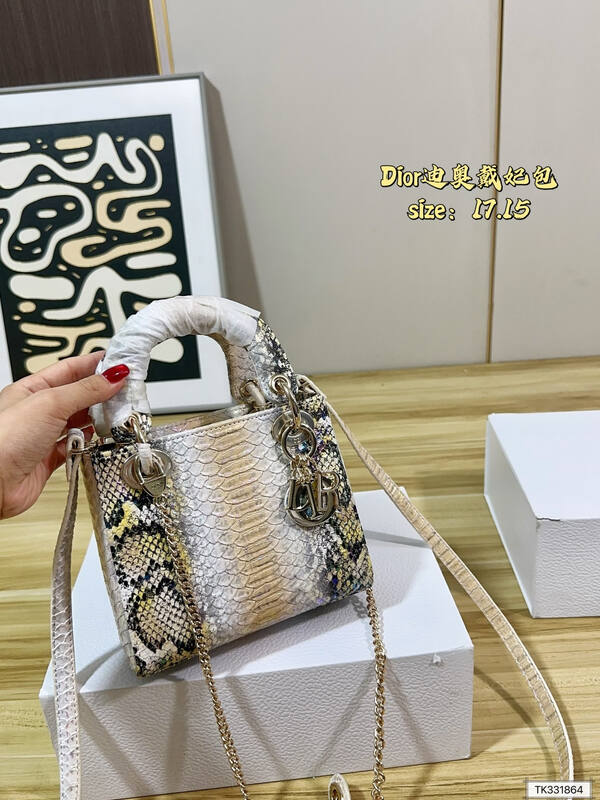 Dior Python print 17 15 crossbody — Premium Replica