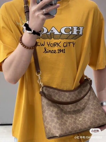 Coach Brown shoulder bag Premium Replica