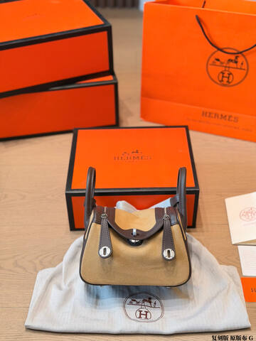 Hermes Birkin 25 Beige and Brown 25cm handbag Premium Replica