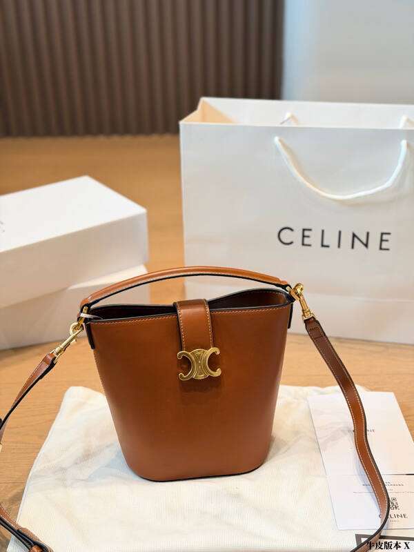 Celine Triomphe everyday — AAA Quality Replica