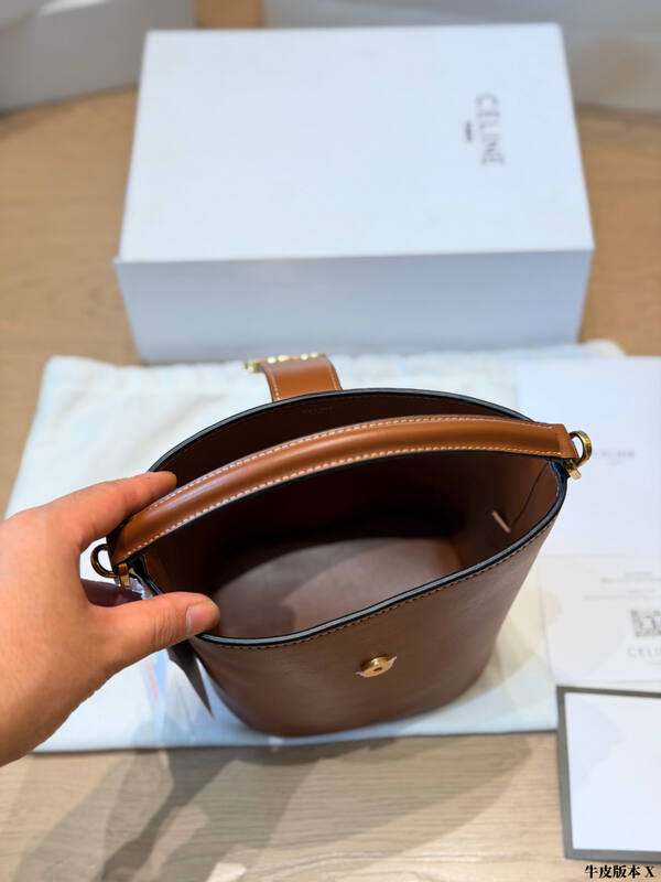 Celine Triomphe everyday — AAA Quality Replica