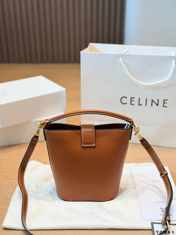 Celine Triomphe everyday — AAA Quality Replica
