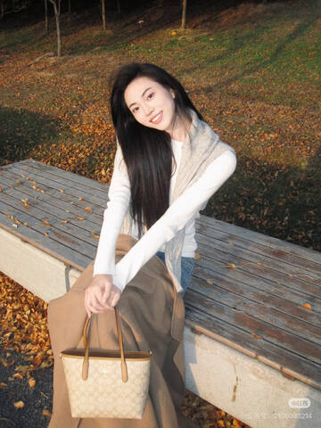 Coach Brown 25x18x10cm shoulder bag 1 1 Replica