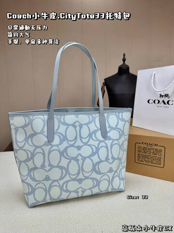 Coach Calfskin shoulder bag 1 1 Replica