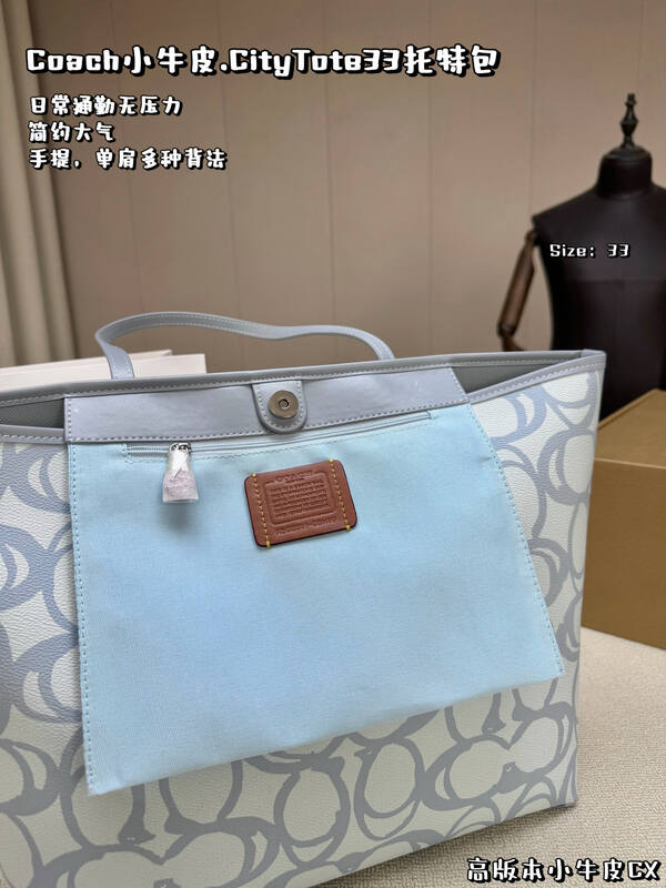 Coach Calfskin shoulder bag — 1:1 Replica