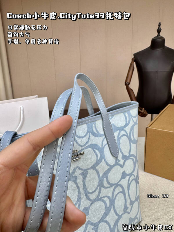 Coach Calfskin shoulder bag — 1:1 Replica